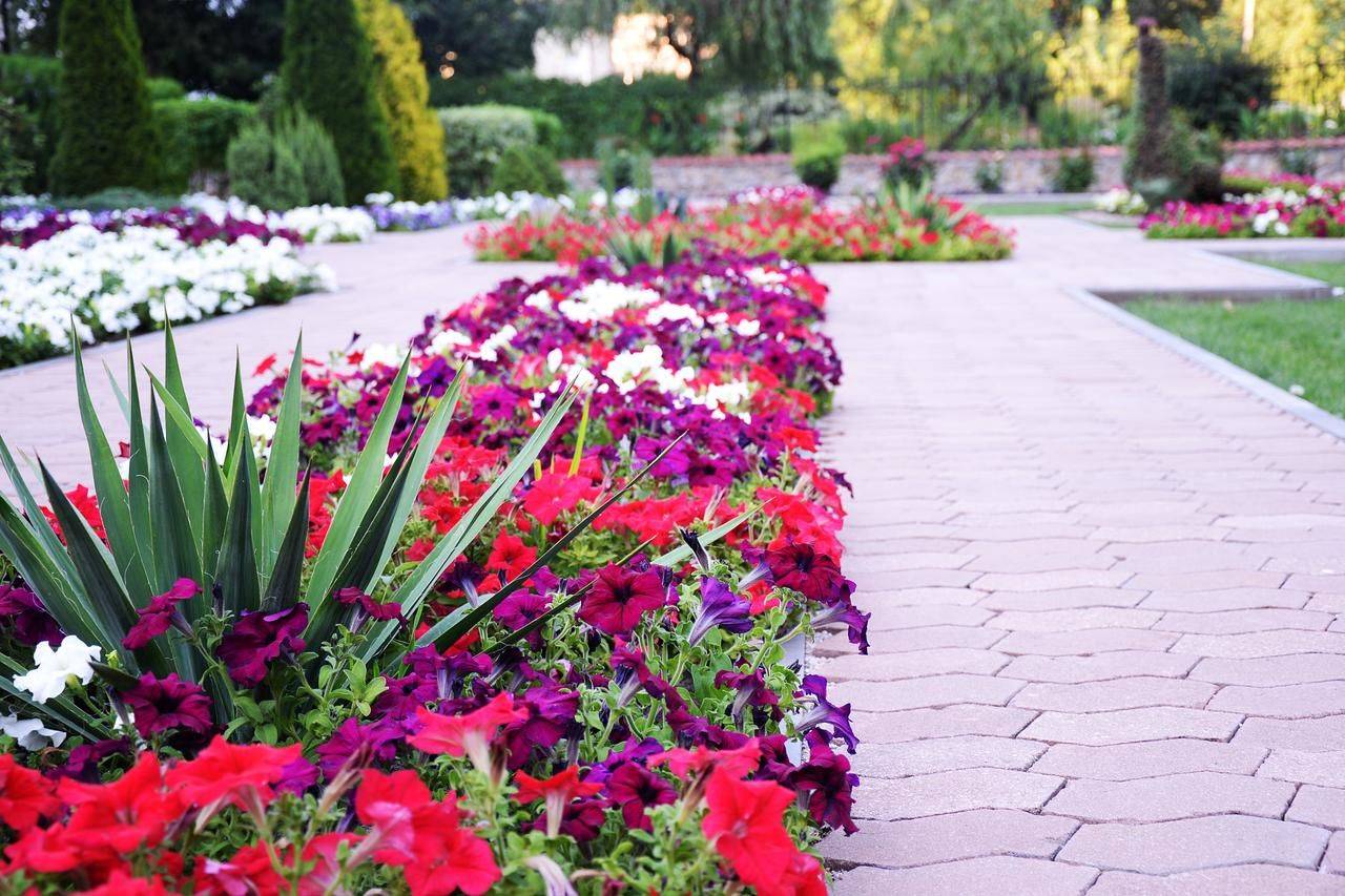 Фото Отели Hotel Chayka Мариуполь 10